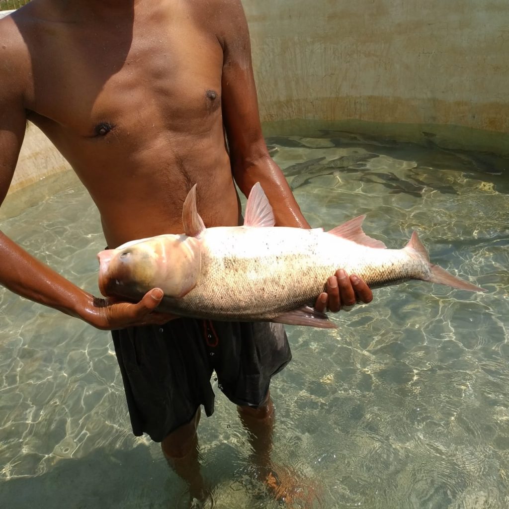 WhatsApp Image 2021-01-18 at 1.34.38 PM