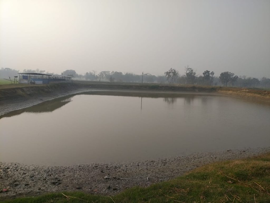 WhatsApp Image 2021-01-18 at 3.37.11 PM