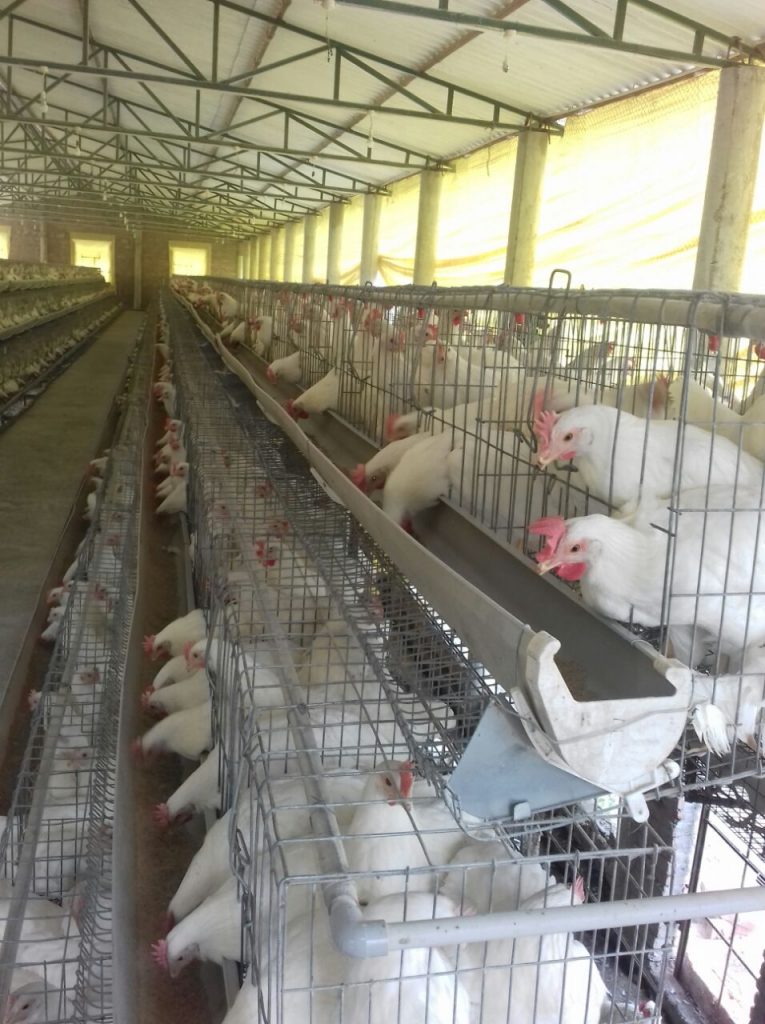 WhatsApp Image 2021-01-18 at 8.42.26 AM